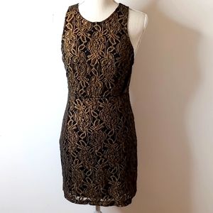 Sparkle & Fade Sleeveless Gold Metallic Lace Mini Dress With Mesh Panels Size 2